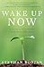 Wake Up Now by Stephan Bodian