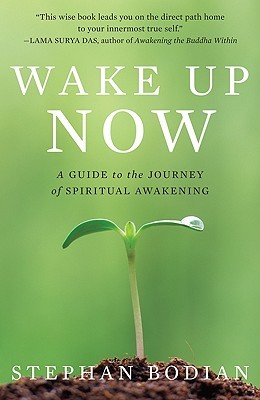 Wake Up Now: A Guide to the Journey of Spiritual Awakening (Hardcover)