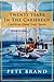 Twenty Years In The Caribbean by Pete Brand