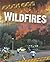 Wildfires (Disaster Watch)