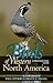Birds of Western North Amer...