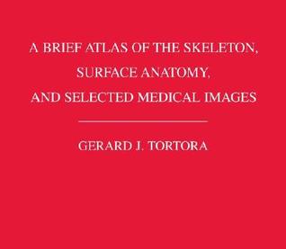Atlas of the Human Skeleton (Paperback)