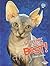 Sphynx Are the Best! by Elaine Landau