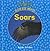 Guess Who Soars (Guess Who: Bookworms, Guided Reading Level G)