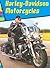 Harley-Davidson Motorcycles (Wild Rides)