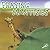 Praying Mantises