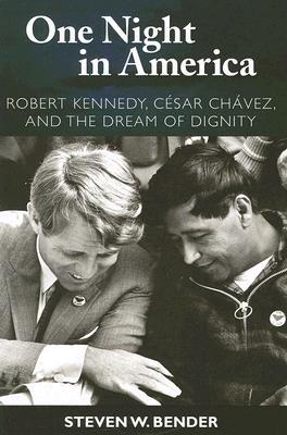 One Night in America (Paperback)