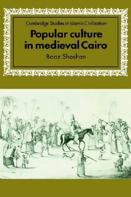 Popular Culture in Medieval Cairo (Cambridge Studies in Islamic Civilization)