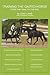 Training the Gaited Horse by Gary Lane