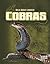 Cobras (Wild about Snakes)