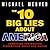 The 10 Big Lies About America: Combating Destructive Distortions About Our Nation
