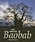 The African Baobab