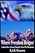 A Great Thunder From The Mountain (Where Freedom Reigns, #1)