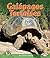 Galapagos Tortoises by Conrad J. Storad