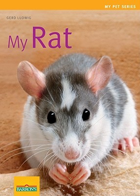 My Rat (My Pet)