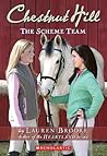 The Scheme Team (Chestnut Hill, #5)