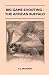 Big Game Shooting: The Afri...