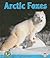 Arctic Foxes (Early Bird Nature Books)