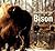Portraits Of The Bison: An Illustrated Guide To Bison Society