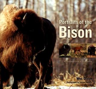 Portraits Of The Bison: An Illustrated Guide To Bison Society