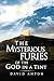 The Mysterious Furies of the God in a Tent by David Anthony Downes