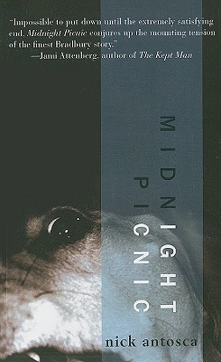 Midnight Picnic (Paperback)