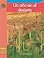 Un Año en el Desierto / A Year in the Desert (Yellow Umbrella Books: Science ~ Spanish)