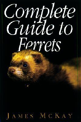 Complete Guide to Ferrets (Paperback)