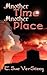 Another Time, Another Place by T. Sue VerSteeg