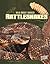 Rattlesnakes by Heather L. Montgomery Rattlesnakes by Heather L. Montgomery