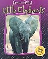 Little Elephants (Born to Be Wild)