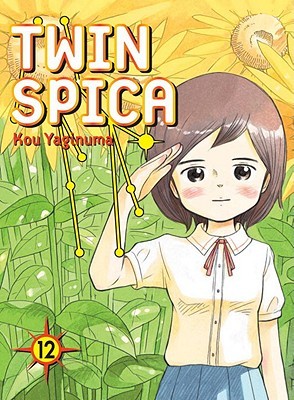 Twin Spica: Volume 12 (Paperback)