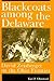 Blackcoats among the Delaware: David Zeisberger on the Ohio Frontier