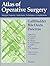 Atlas of Operative Surgery:...