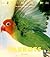Parrots (The Wild World of Animals)