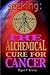 Seeking: The Alchemical Cur...