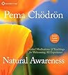Natural Awareness: Guided Meditations and Teachings for Welcoming All Experience Natural Awareness: Guided Meditations and Teachings for Welcoming All Experience
