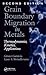 Grain Boundary Migration in Metals: Thermodynamics, Kinetics, Applications, Second Edition (Materials Science & Technology)