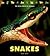 Snakes (The Wild World of Animals)