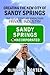 Creating the New City of Sandy Springs by Oliver W. Porter Creating the New City of Sandy Springs by Oliver W. Porter