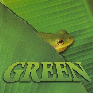 Rourke Educational Media Green Board Book (My Colors And Me Board Books)