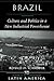 Brazil by Ronald M. Schneider