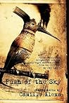 Push of the Sky