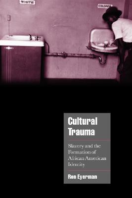 Cultural Trauma: Slavery and the Formation of African American Identity (Cambridge Cultural Social Studies)