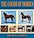 The Color of Horses: The Scientific and Authoritative Identification of the Color of the Horse