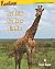 You Think You Know Giraffes (Readings: Animals of Africa)