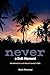 Never A Dull Moment by Mark Remenyi