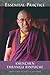 Essential Practice by Khenchen Thrangu