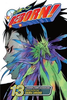 Reborn! Vol. 13: The Mist Guardian Arrives! (Reborn!, #13)