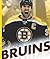 Boston Bruins (Favorite Hockey Teams)